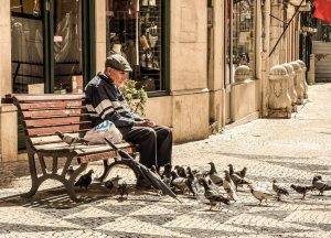 Senior Moving Company senior feeding pigeons on bench